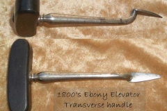 Transverse Seldin elevator