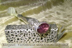 Amethyst sterling ivory toothbrush