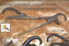 ca 1620 - 3 in 1. Pelican - forceps - elevator
