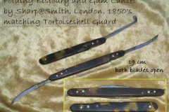 19th C lancets -tortoiseshell guard