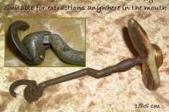 Crude horn handled toothkey