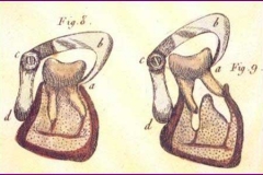 tk-scheme4-web